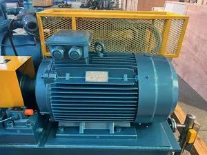 Oil Pump Motor